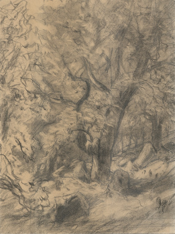 Julius Mařák – Motiv z bukového lesa