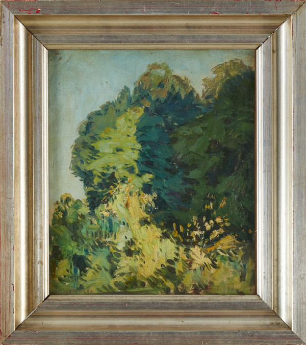 Alois Kalvoda – Studie stromů 