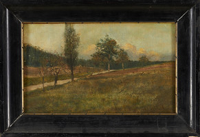 Albín Lhota – Cesta 