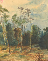 Viktor Foerster – Motiv z listnatého lesa 