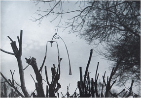 Robo Kočan – Škriatok jari, séria Tiene duchov 