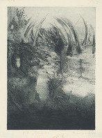 Ľubica Fabriciová – Pradúhy 