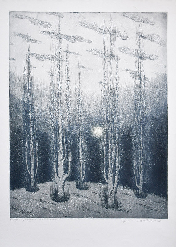 Jarmila Pavlíčková – Februárové ráno 