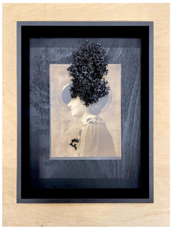 Lucia Tallová – 05 Bez názvu 