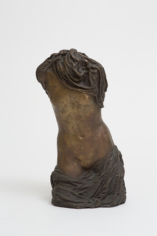 Klára Pataki – Torzo 