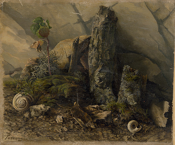 Stredoeurópsky maliar z konca 19. storočia – Štúdia prírodného zákutia s ulitami