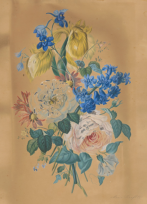 Marie Krafft – Kvety 