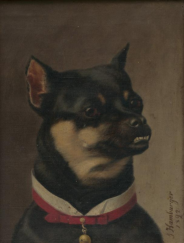 Julius Hamburger – Pes s obojkom so stojačikom a rolničkou