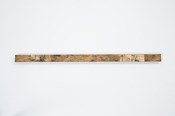 Miloš Boďa – Zo série čierna línia I. 