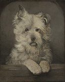 František Kozics – Psík 