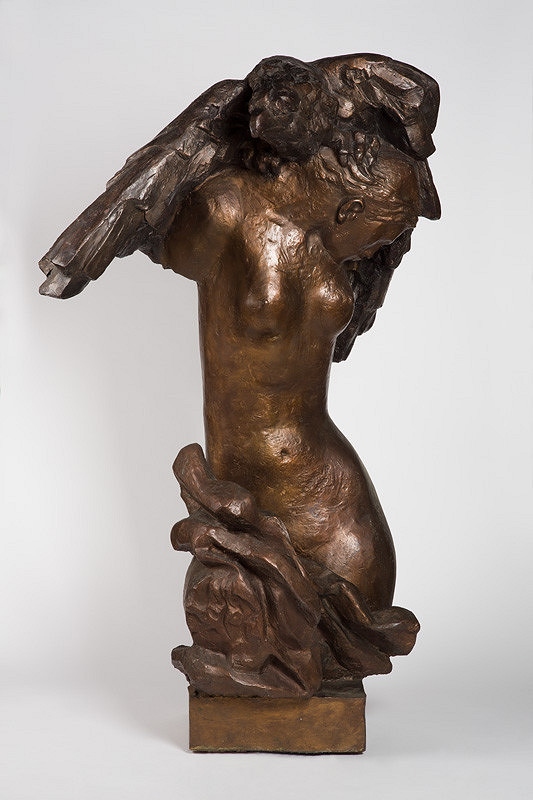 Tibor Bártfay – Fašizmus 