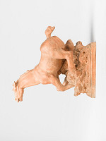 Jan Znoj – Žrebec 