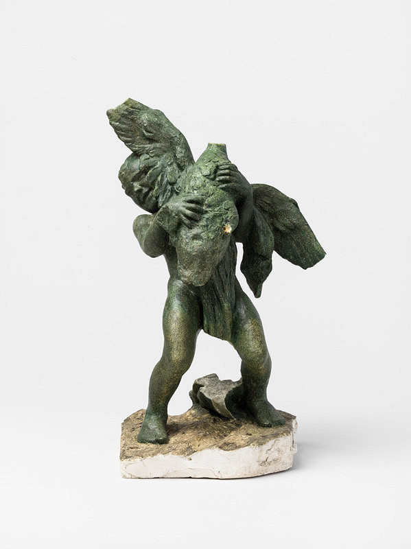 Róbert Kühmayer – Chlapec s husou 