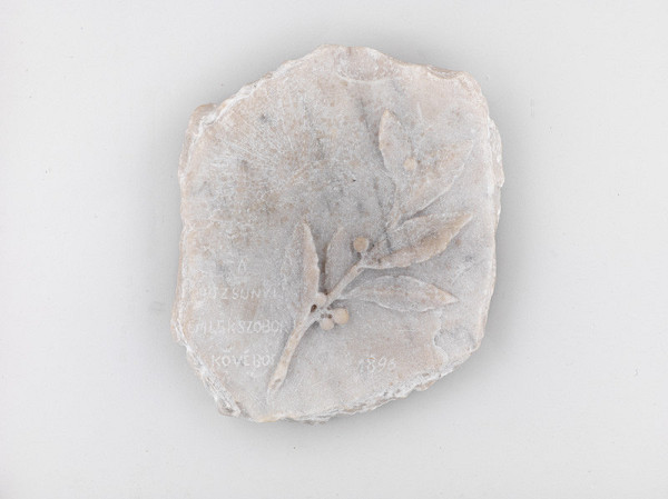 Ján Fadrusz – Vavrínový konár so siluetou mesta Bratislavy 