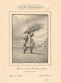 Vasilij Semionovič Sadovnikov, Ivanov – Kvetinár 