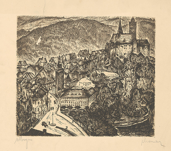 Stredoeurópsky grafik z 20. storočia – Pohľad na Elbogn