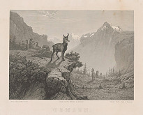 Eugen Krüger – Kamzíky 