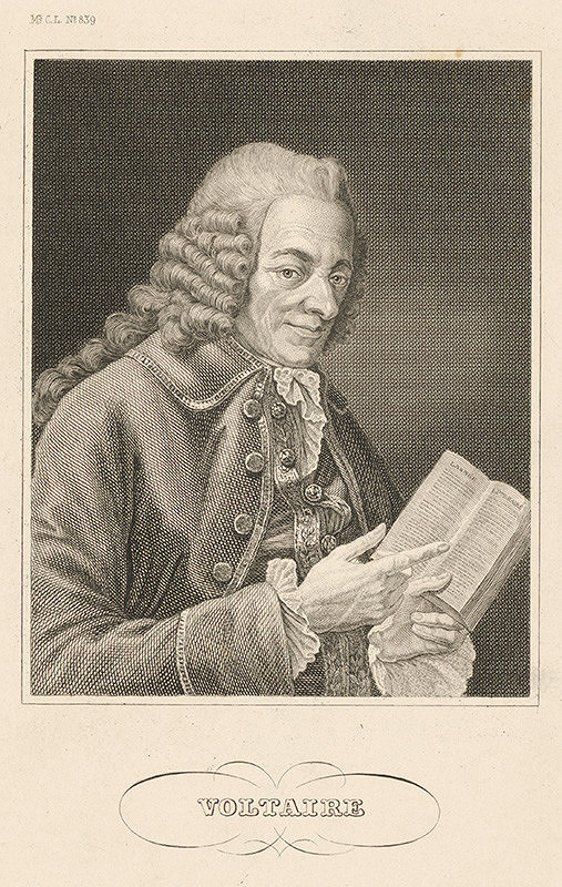 Stredoeurópsky maliar z 19. storočia – Voltaire