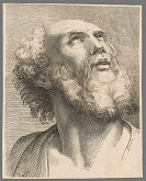 Brda – Portrét muža 