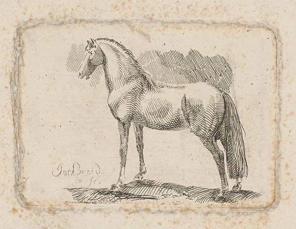 Josef Breid – Kôň