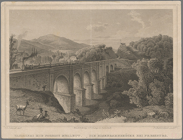Franz Hablitschek, Ludwig Rohbock – Železničný most pri Bratislave
