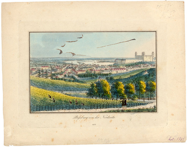Johann Vincenz Reim – Bratislava v 19.storočí-pohľad zo severu