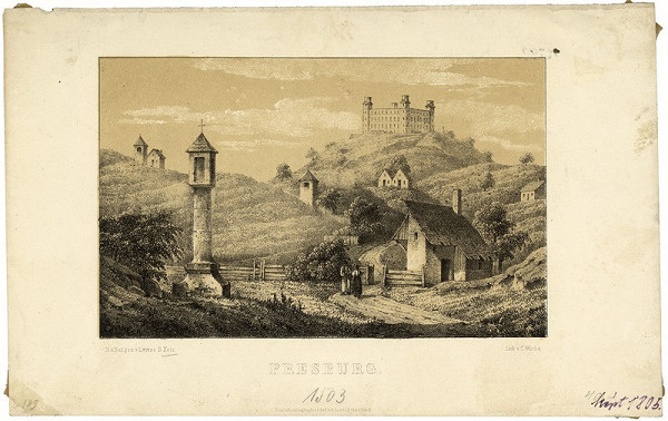 Karl Würbs, Louise Kotz – Bratislavský hrad v 19. storočí - pohľad zo západu