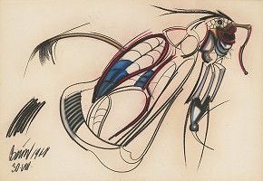 Karol Baron – Intususcepcia V. 