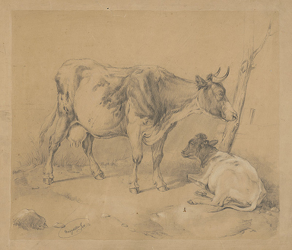 E. Weingarten – Krava a teliatko
