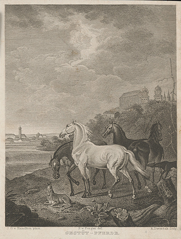 Sigmund Ferdinand von Perger, Hamilton, Dworžak – Žrebčínec - Pferde
