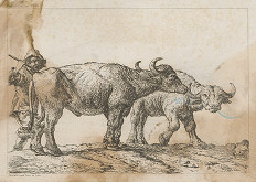 Pieter van Laer – Pastier volov 