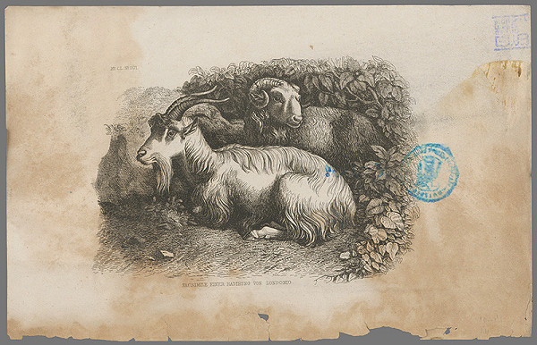 Francesco Londonio – Koza a baran