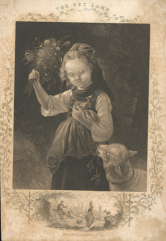 Albert Henry Payne, Johann Wilhelm Becker – Šípová ružička