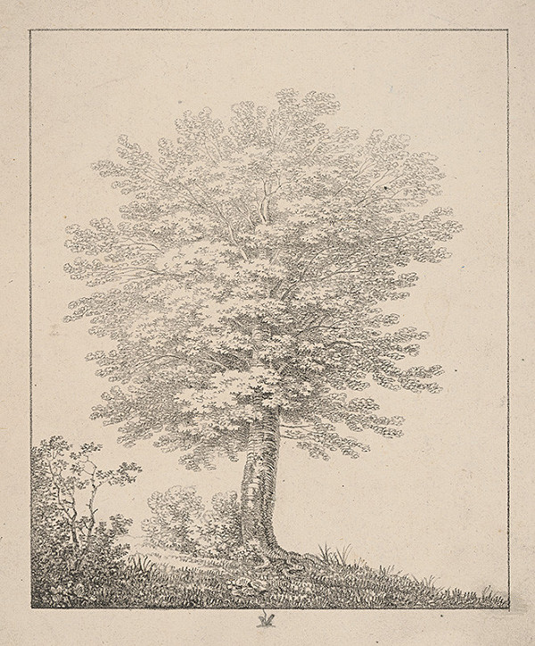 Rakúsky grafik z 19. storočia – Strom