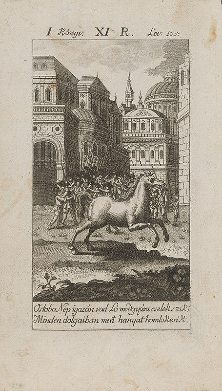 Stredoeurópsky grafik z 18. storočia – Hlúposť