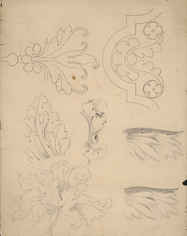 Stredoeurópsky kresliar z 19. storočia – Návrh - štúdie ornamentov 