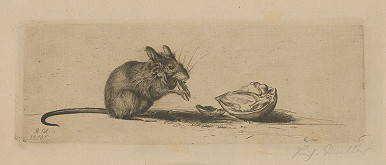 Richard Müller – Myš s orechom 