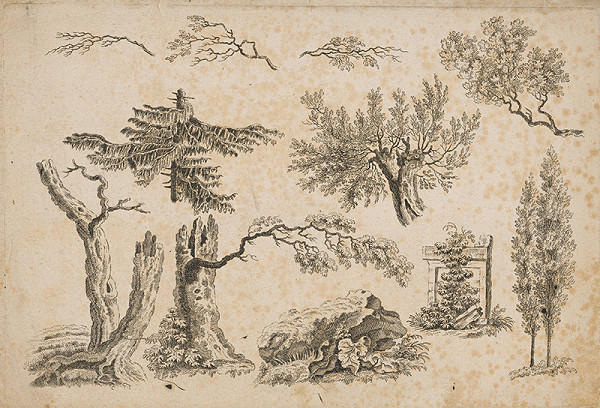 Stredoeurópsky maliar z 19. storočia – Rôzne druhy stromov