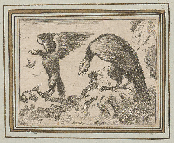 Stredoeurópsky grafik z 18. storočia – Vtáci