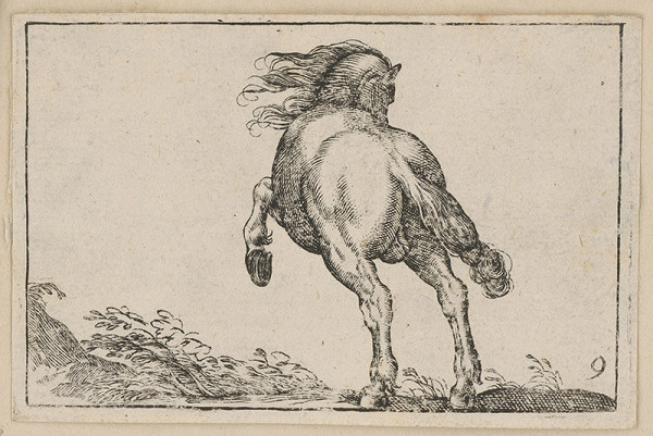 Stredoeurópsky maliar z 18. storočia – Kôň