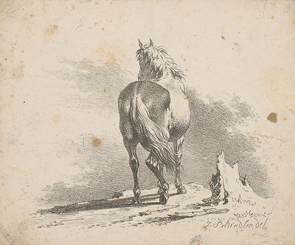 Johann Josef Schindler – Kôň