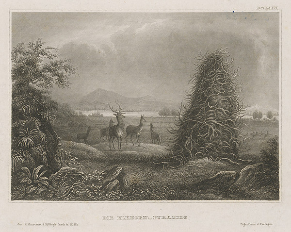 Stredoeurópsky grafik z 19. storočia – Pyramída z jeleních rohov