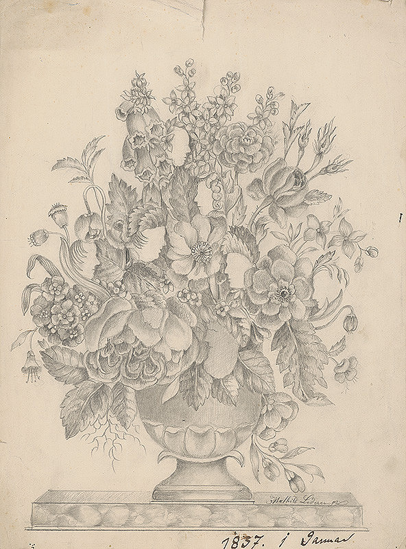 Mathilde Lederer – Poľné kvety