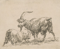 Nicolaes Berchem – Kozy 