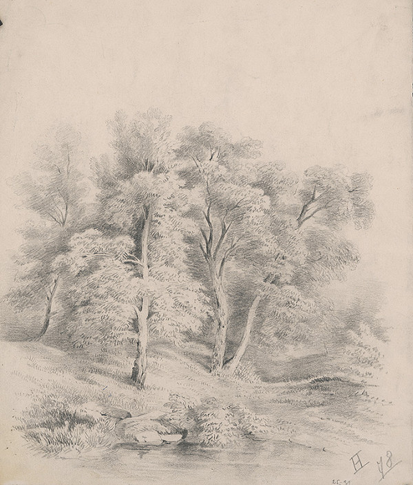 Stredoeurópsky grafik z 19. storočia – Krajinka I.