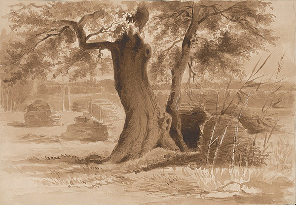 Stredoeurópsky grafik z 19. storočia – Vŕby 