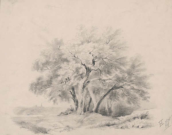 Stredoeurópsky grafik z 19. storočia – Skupina stromov