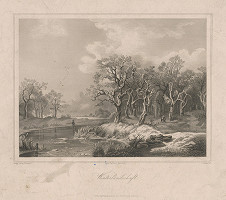 C. Gunkel, Remigius Adrianus Haanen – Zimná krajina 