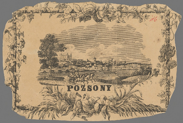 Stredoeurópsky grafik z polovice 19. storočia – Bratislava z juhu 