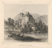 Albert Riegel, Carl von Leyden – Zámok Petersberg v Oberinnthale 